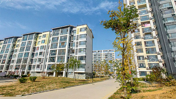 预拌砂浆的质量通病有什么